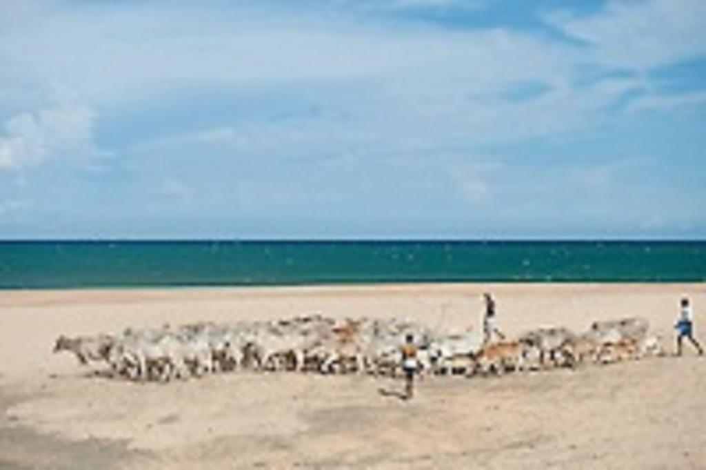 Zimbay Guest House 阿鲁甘湾 外观 照片